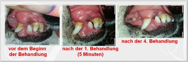 Ergebnis der Ultraschall-Pflege Ergebnis der Ultraschall-Pflege